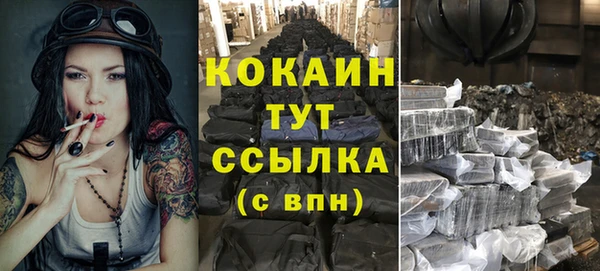 МДПВ Пестово